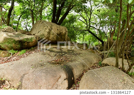 天神山出四郎20庭園遺址 131864127