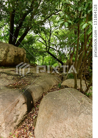 Tenjinyama Deshiro 19 Garden Ruins 131864128