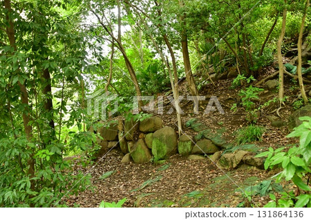 Tenjinyama Deshiro 14 Garden Ruins Tenjinyama Deshiro 14 Garden Ruins 131864136