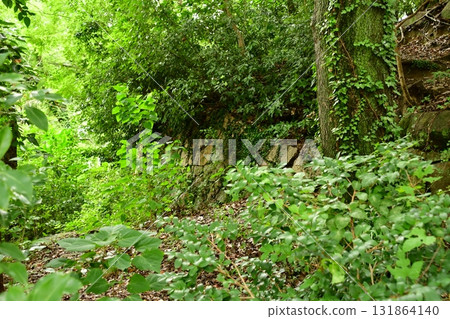 Tenjinyama Dejo 12 Ishigaki 131864140