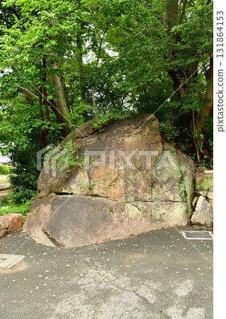 Tenjinyama Dejo 06 Ishigaki 131864153