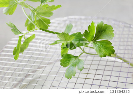 Fresh parsley herb 131864225
