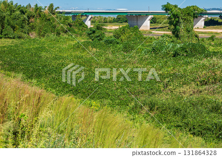 Kizugawa River riverbed scenery, Kyotanabe City, Kyoto Prefecture Kizugawa River riverbed scenery, Kyotanabe City, Kyoto Prefecture 131864328