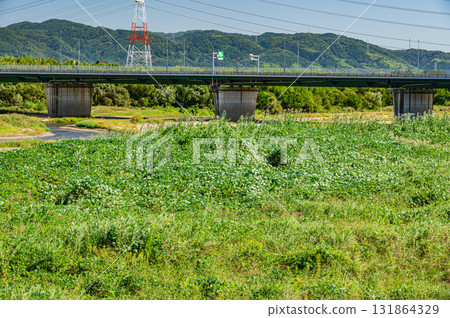 Kizugawa River scenery, Shin-Kizugawa Bridge, Kyotanabe City, Kyoto Prefecture, Joyo City 131864329