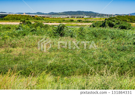 Kizugawa River riverbed scenery, Kyotanabe City, Kyoto Prefecture, Joyo City Kizugawa River riverbed scenery, Kyotanabe City, Kyoto Prefecture, Joyo City 131864331
