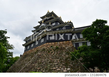 Okayama Castle 02 Castle Tower 131864476