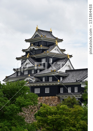 岡山城第9天守閣 131864488
