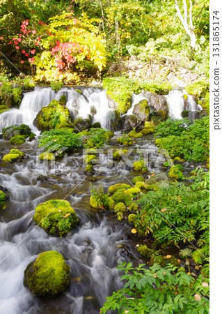 Spring water at Fukidashi Park in Kyogoku Town, Hokkaido 131865174