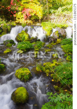 Spring water at Fukidashi Park in Kyogoku Town, Hokkaido 131865175