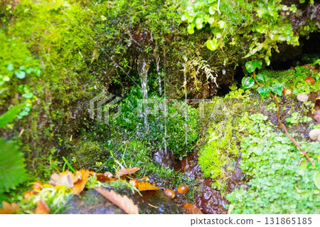 Spring water at Fukidashi Park in Kyogoku Town, Hokkaido Spring water at Fukidashi Park in Kyogoku Town, Hokkaido 131865185