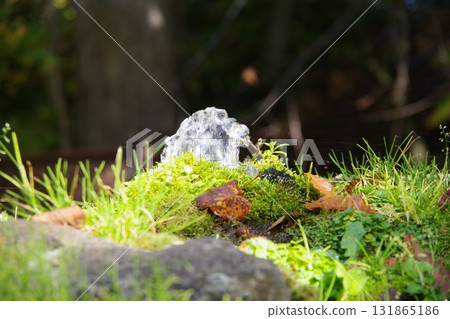 Spring water at Fukidashi Park in Kyogoku Town, Hokkaido 131865186