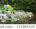北海道京極鎮吹出公園的泉水 131865191