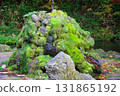 北海道京極鎮吹出公園的泉水 131865192