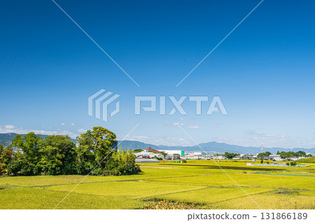 Rural scenery in Yawata City, Kyoto Prefecture Rural scenery in Yawata City, Kyoto Prefecture 131866189
