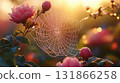 Spider web with morning dew drops glowing at sunrise, garden nature detail 131866258