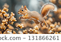 Squirrel leaping between spring blossoms, capturing wildlife agility in nature 131866261