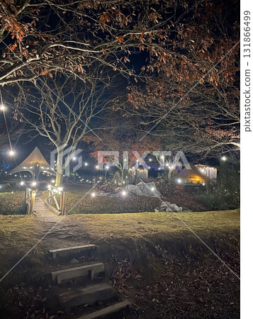 Illuminated park scenery 131866499