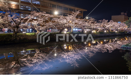 the reflection of river and pond around the Hirosaki park, the sakura tree during Hirosaki Cherry Blossom Festival at night the reflection of river and pond around the Hirosaki park, the sakura tree during Hirosaki Cherry Blossom Festival at night 131866750