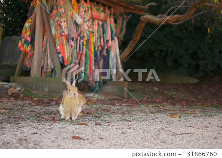 Waiting in front of the thousand paper cranes Waiting in front of the thousand paper cranes 131866760