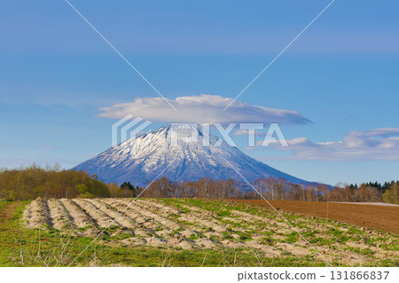 Mt. Yotei in the beautiful spring 131866837