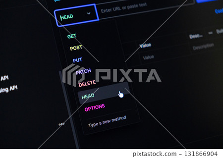 API development interface displaying HTTP methods like GET, POST, DELETE, HEAD, and OPTIONS with a mouse cursor selecting HEAD for web service programming 131866904