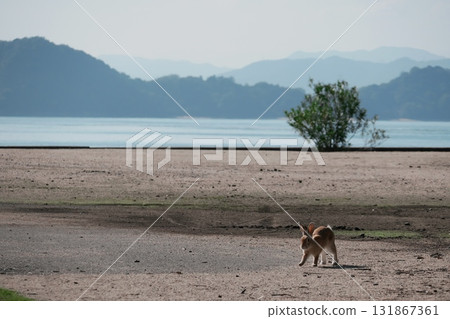 海邊生活 131867361