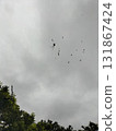 Spider in the cloudy sky 131867424
