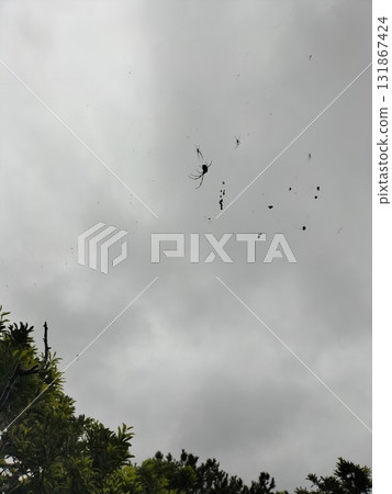 多雲天空的蜘蛛 多雲天空的蜘蛛 131867424