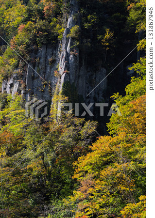懸崖上的紅葉(北海道天仁京) 懸崖上的紅葉(北海道天仁京) 131867946