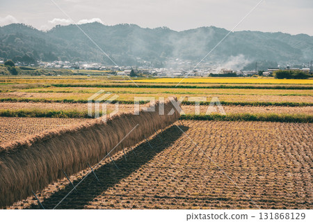 Smoke from field burning and rice racking [Ikeda Town, Kitaazumi District] 131868129