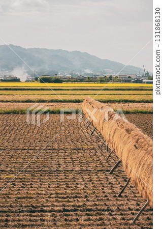 Smoke from field burning and rice racking [Ikeda Town, Kitaazumi District] 131868130