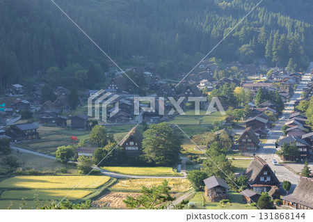 沐浴在晨曦中的白川鄉合掌村 131868144