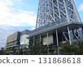 東京天空樹 131868618