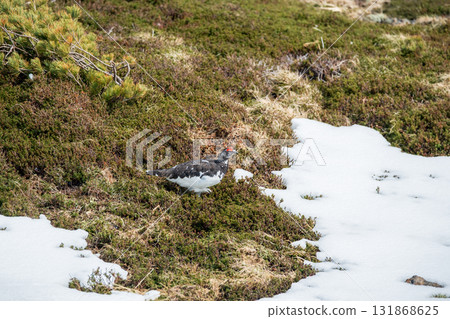 Tateyama of the snowy season Tateyama of the snowy season 131868625