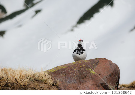 Tateyama of the snowy season Tateyama of the snowy season 131868642
