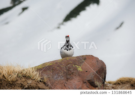 Tateyama of the snowy season Tateyama of the snowy season 131868645