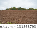 Close-up view of freshly plowed brown field, rough soil texture and earthy tones concept of farming and land cultivation 131868793