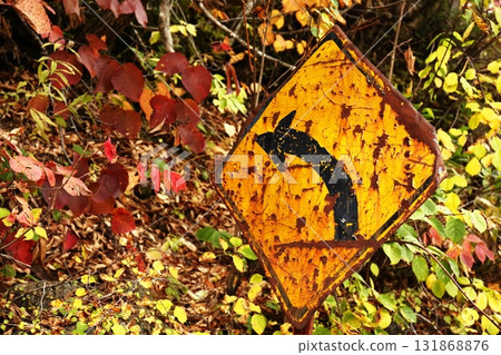 Rusty road sign 131868876