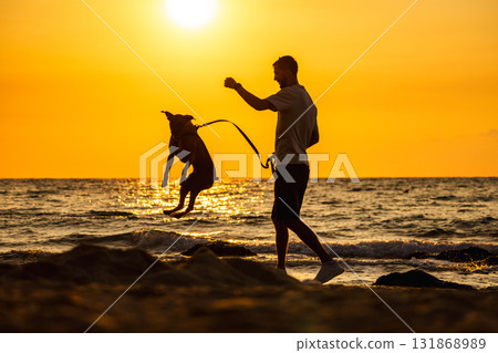 Dog jumping near man on sandy beach at sunset by the sea shore 131868989