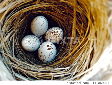 Four spotted eggs resting in bird nest, waiting for spring 131869025