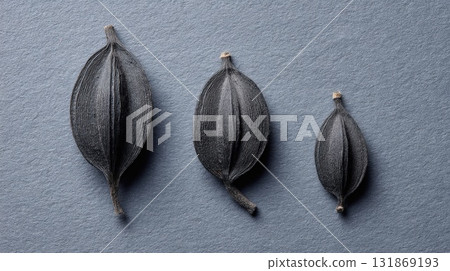 close up of fresh cocoa pod 131869193