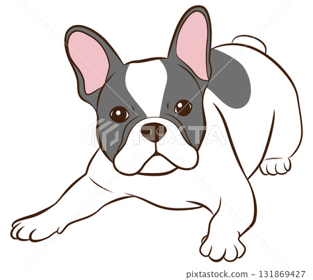 French Bulldog 02 (Pied) lying down French Bulldog 02 (Pied) lying down 131869427