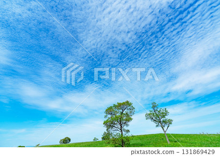 Autumn clouds and grassland 131869429