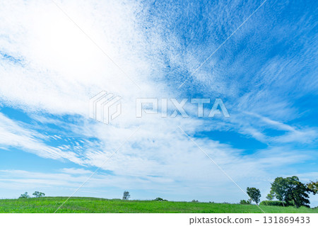 Autumn clouds and grassland 131869433