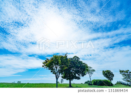 秋雲和草原 131869434