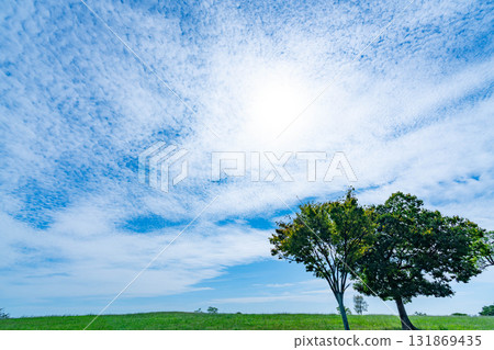 秋雲和草原 秋雲和草原 131869435