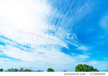 Autumn clouds and trees 131869460