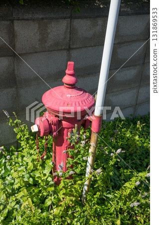 紅火消防栓 131869533