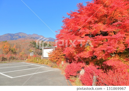 Higashizawa Bridge and Yatsugatake covered in autumn leaves 131869967