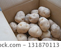 potatoes in cardboard 131870113